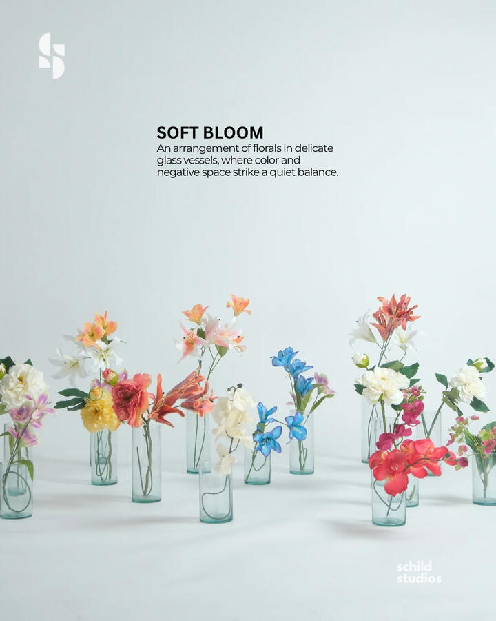 Soft Bloom Soft Bloom